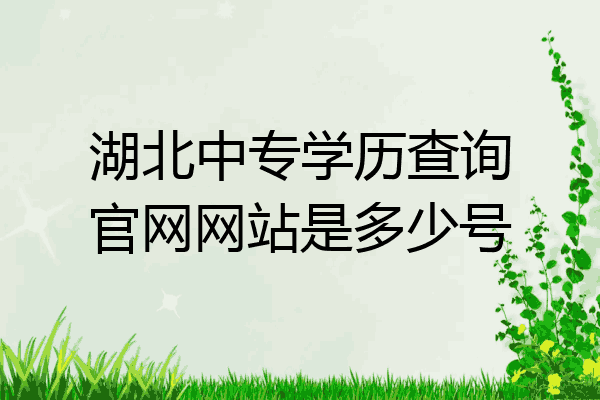 湖北中专学历查询官网网站是多少号
