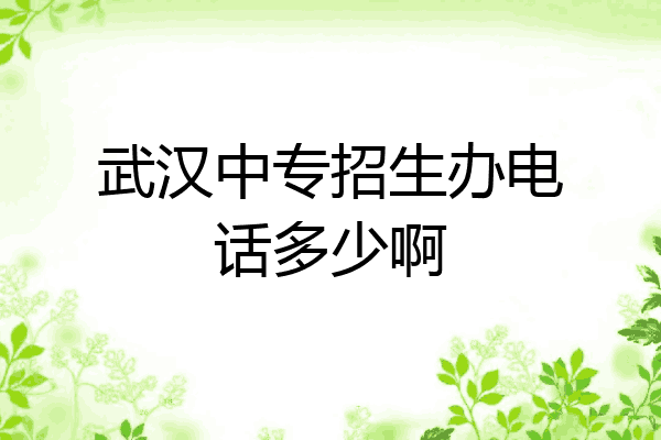 武汉中专招生办电话多少啊