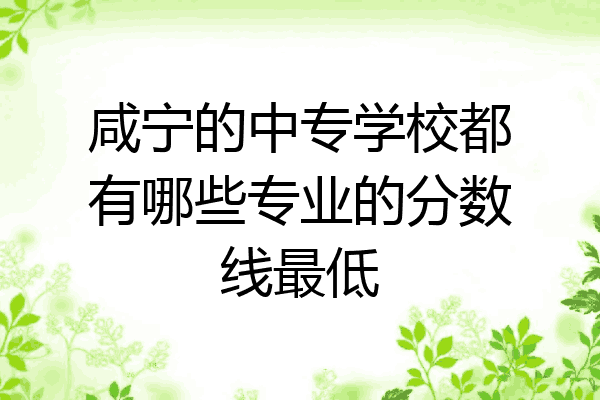 咸宁的中专学校都有哪些专业的分数线最低