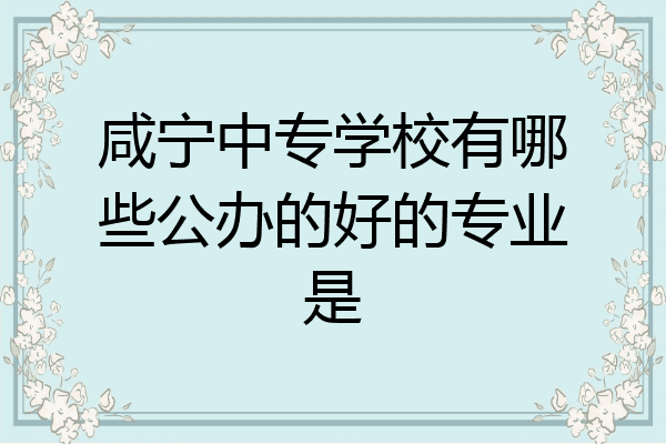 咸宁中专学校有哪些公办的好的专业是