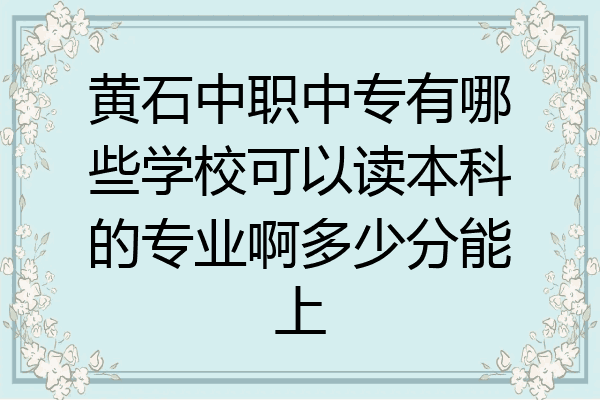 黄石中职中专有哪些学校可以读本科的专业啊多少分能上