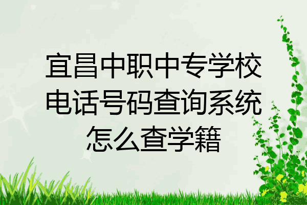 宜昌中职中专学校电话号码查询系统怎么查学籍