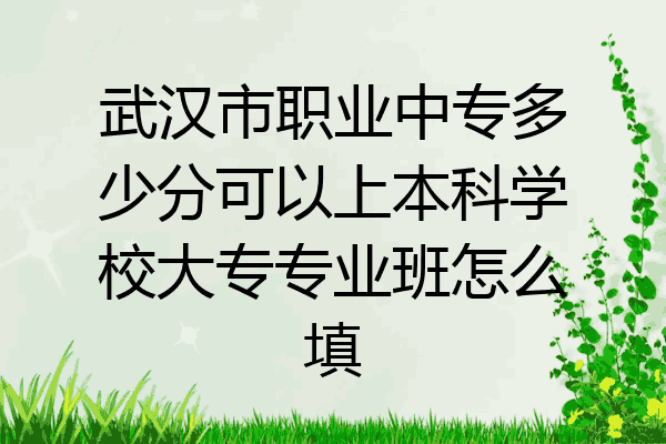 武汉市职业中专多少分可以上本科学校大专专业班怎么填