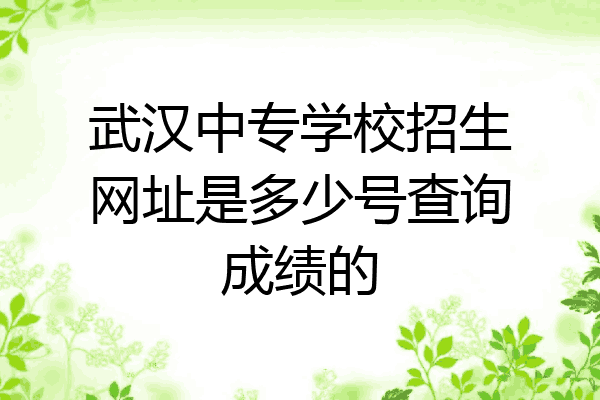 武汉中专学校招生网址是多少号查询成绩的