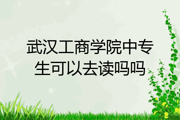 武汉工商学院中专生可以去读吗吗