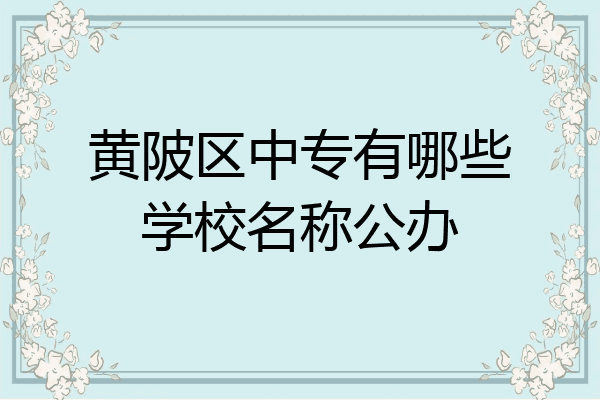 黄陂区中专有哪些学校名称公办