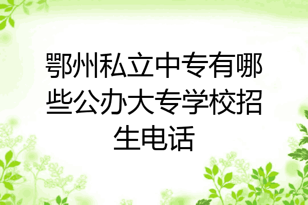 鄂州私立中专有哪些公办大专学校招生电话