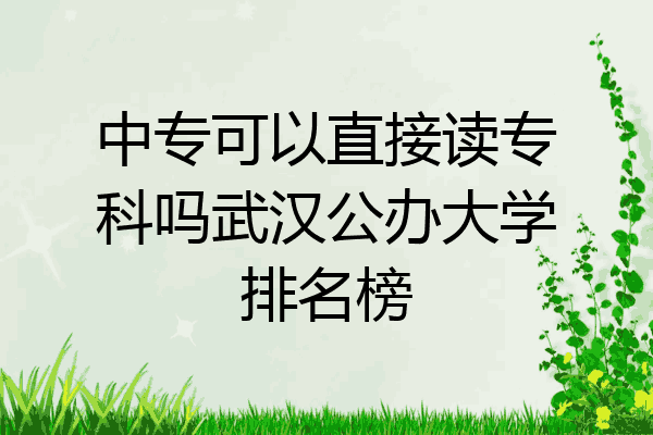 中专可以直接读专科吗武汉公办大学排名榜