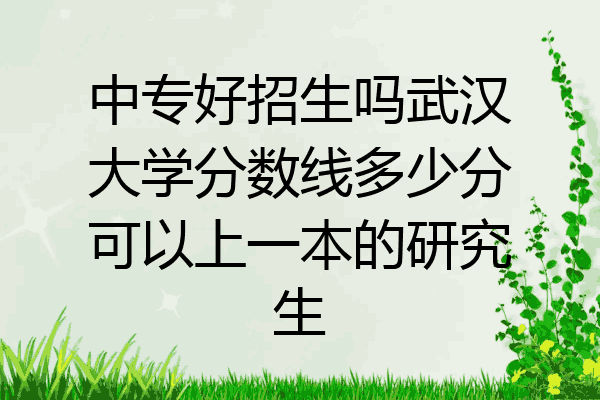 中专好招生吗武汉大学分数线多少分可以上一本的研究生