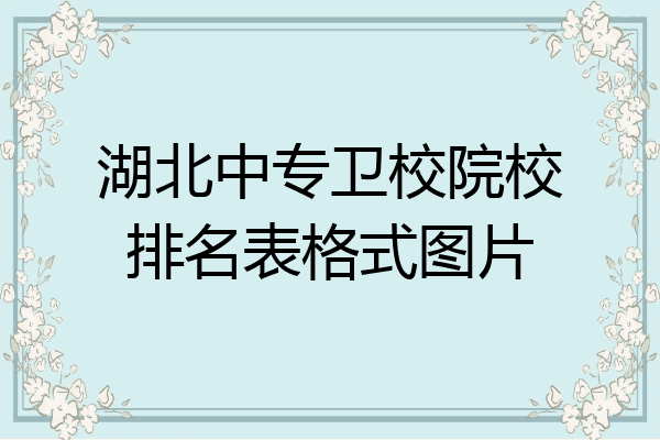 湖北中专卫校院校排名表格式图片