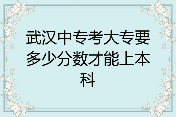 武汉中专考大专要多少分数才能上本科