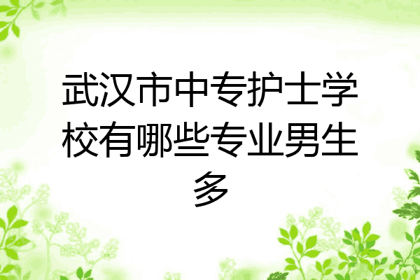 武汉市中专护士学校有哪些专业男生多