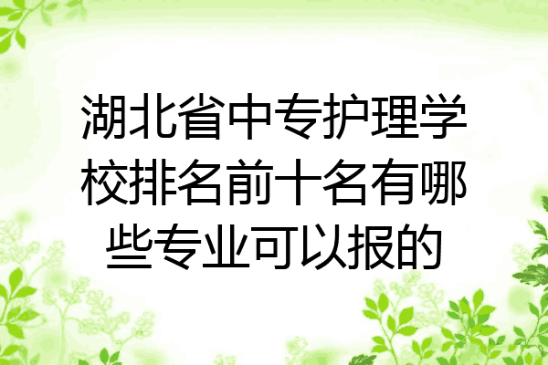 湖北省中专护理学校排名前十名有哪些专业可以报的