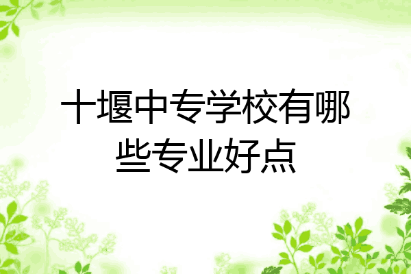 十堰中专学校有哪些专业好点