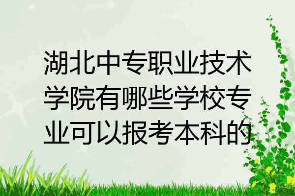 湖北中专职业技术学院有哪些学校专业可以报考本科的