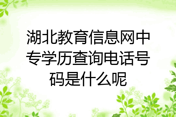 湖北教育信息网中专学历查询电话号码是什么呢