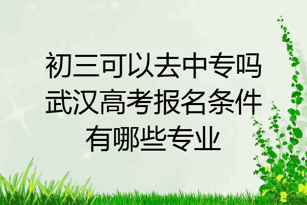 初三可以去中专吗武汉高考报名条件有哪些专业