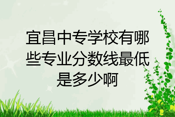 宜昌中专学校有哪些专业分数线最低是多少啊
