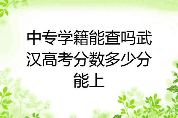 中专学籍能查吗武汉高考分数多少分能上