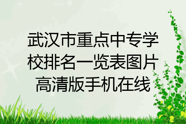 武汉市重点中专学校排名一览表图片高清版手机在线