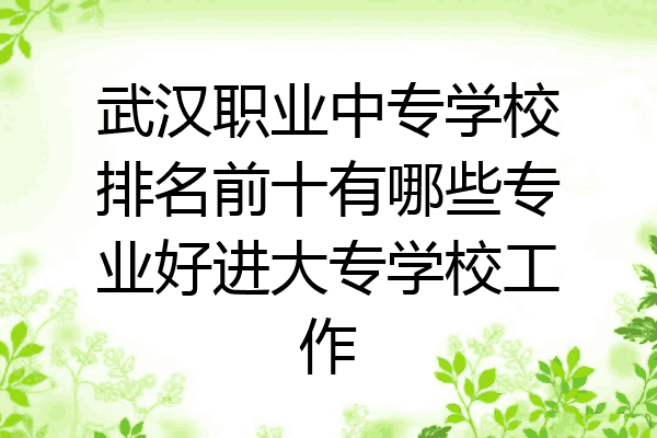 武汉职业中专学校排名前十有哪些专业好进大专学校工作