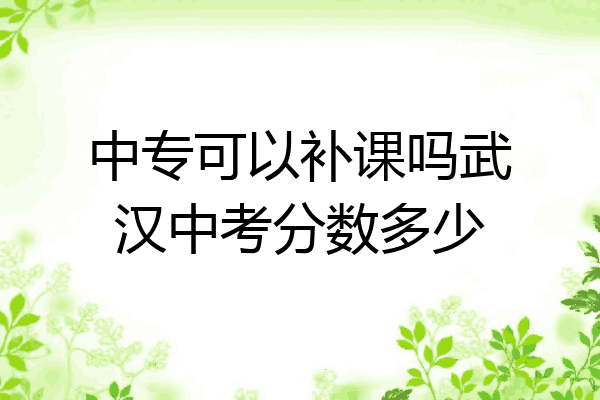 中专可以补课吗武汉中考分数多少