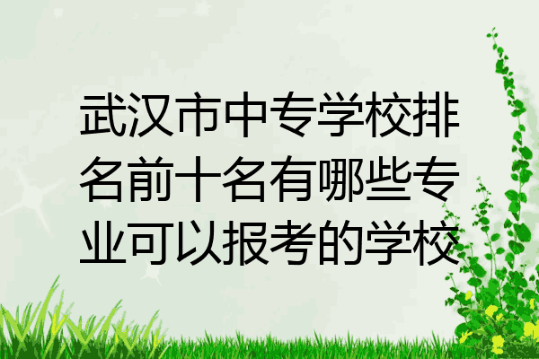武汉市中专学校排名前十名有哪些专业可以报考的学校