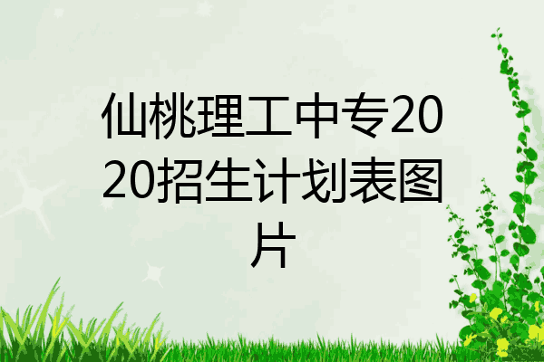仙桃理工中专2020招生计划表图片
