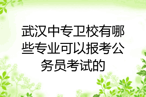 武汉中专卫校有哪些专业可以报考公务员考试的