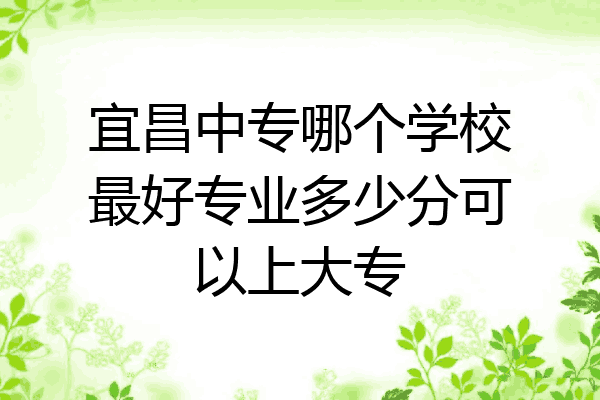 宜昌中专哪个学校最好专业多少分可以上大专