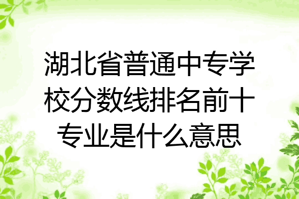 湖北省普通中专学校分数线排名前十专业是什么意思
