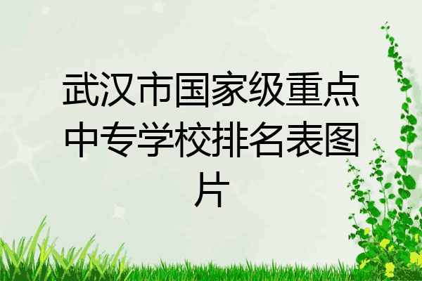 武汉市国家级重点中专学校排名表图片