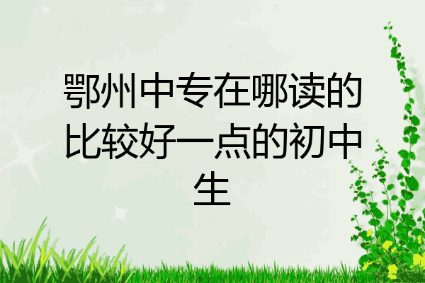 鄂州中专在哪读的比较好一点的初中生