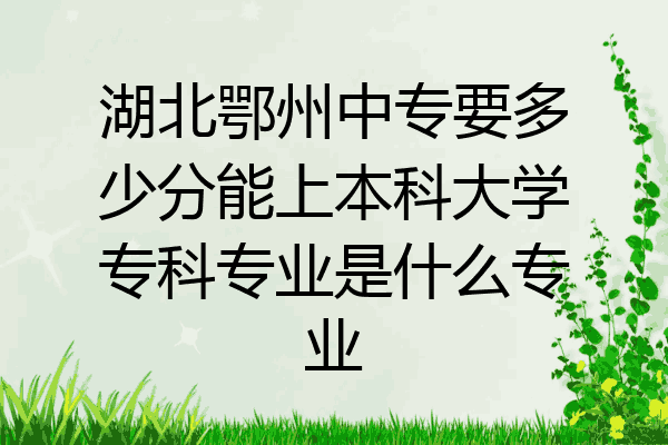 湖北鄂州中专要多少分能上本科大学专科专业是什么专业