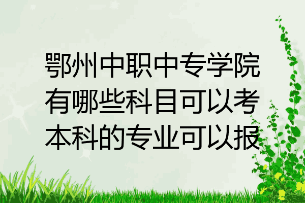 鄂州中职中专学院有哪些科目可以考本科的专业可以报