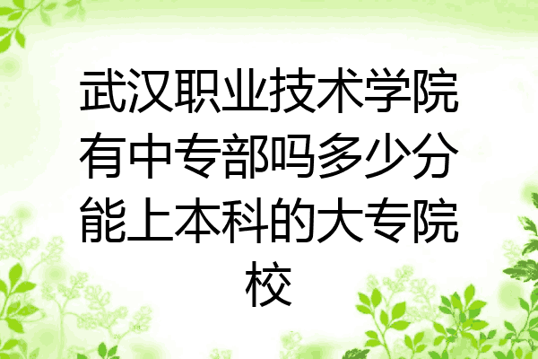 武汉职业技术学院有中专部吗多少分能上本科的大专院校