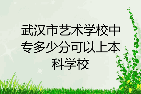 武汉市艺术学校中专多少分可以上本科学校