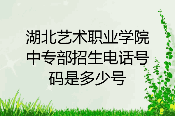 湖北艺术职业学院中专部招生电话号码是多少号