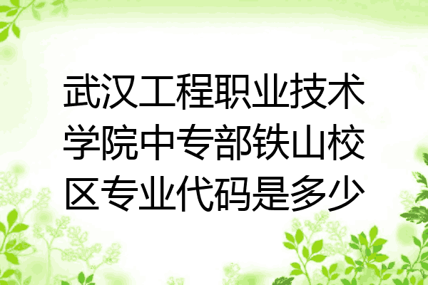 武汉工程职业技术学院中专部铁山校区专业代码是多少