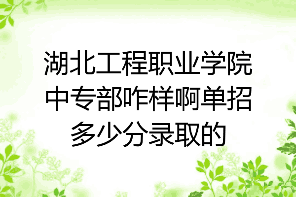 湖北工程职业学院中专部咋样啊单招多少分录取的