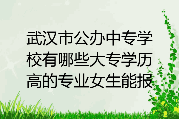 武汉市公办中专学校有哪些大专学历高的专业女生能报