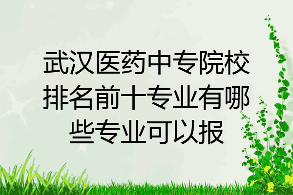 武汉医药中专院校排名前十专业有哪些专业可以报