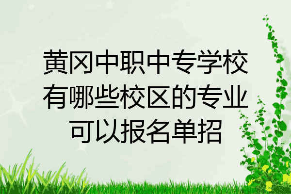 黄冈中职中专学校有哪些校区的专业可以报名单招