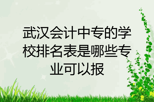 武汉会计中专的学校排名表是哪些专业可以报