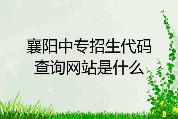 襄阳中专招生代码查询网站是什么