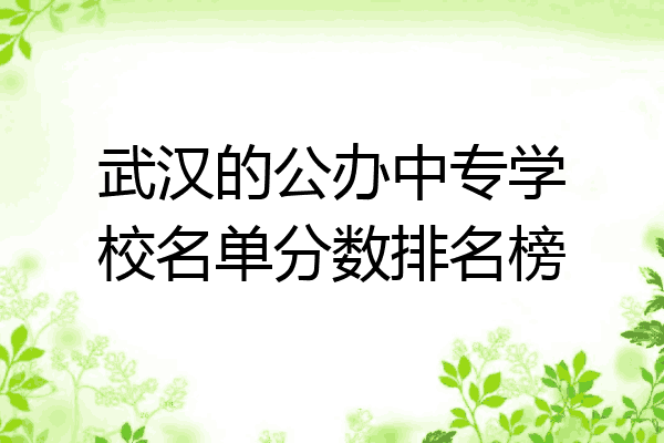 武汉的公办中专学校名单分数排名榜