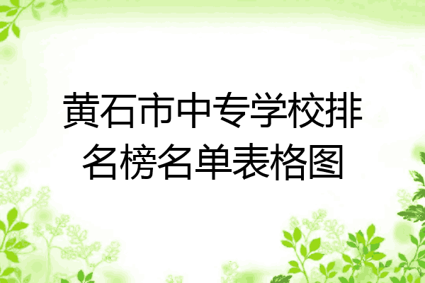 黄石市中专学校排名榜名单表格图