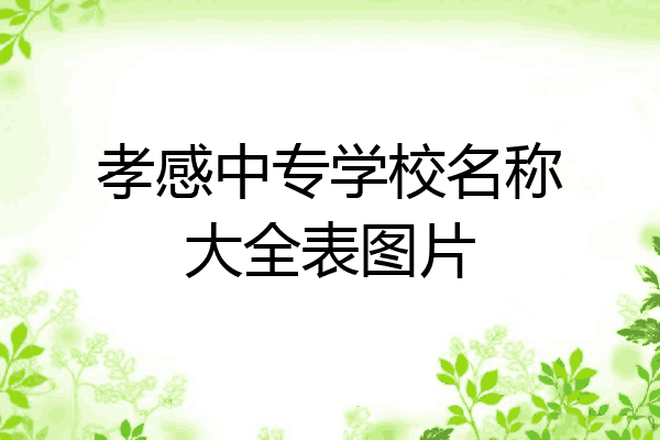 孝感中专学校名称大全表图片
