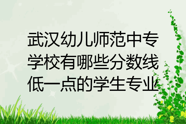 武汉幼儿师范中专学校有哪些分数线低一点的学生专业