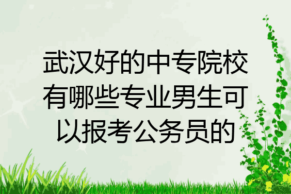 武汉好的中专院校有哪些专业男生可以报考公务员的